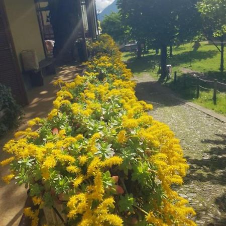 Appartamento Castagno 1 Sentiero Del Viandante Bellano Esterno foto