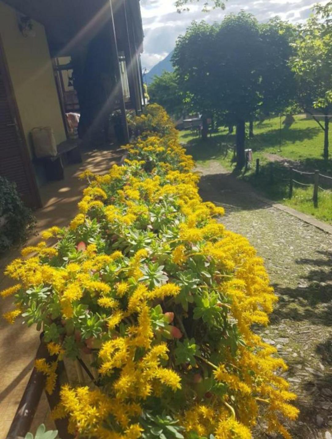 Appartamento Castagno 1 Sentiero Del Viandante Bellano Esterno foto